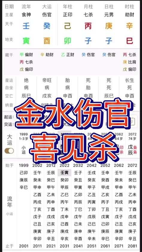 金水命格|八字喜金水的人特征